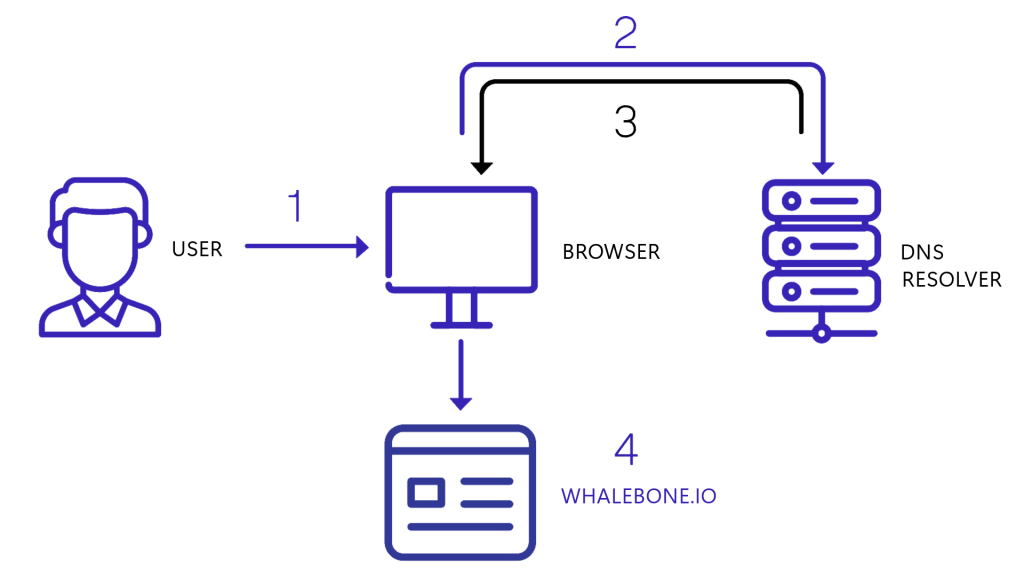 Whalebone Immunity